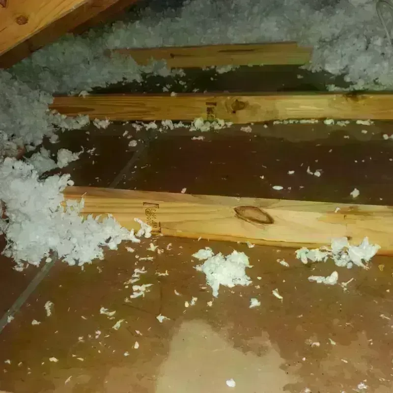 Attic Water Damage in Paulding County, OH