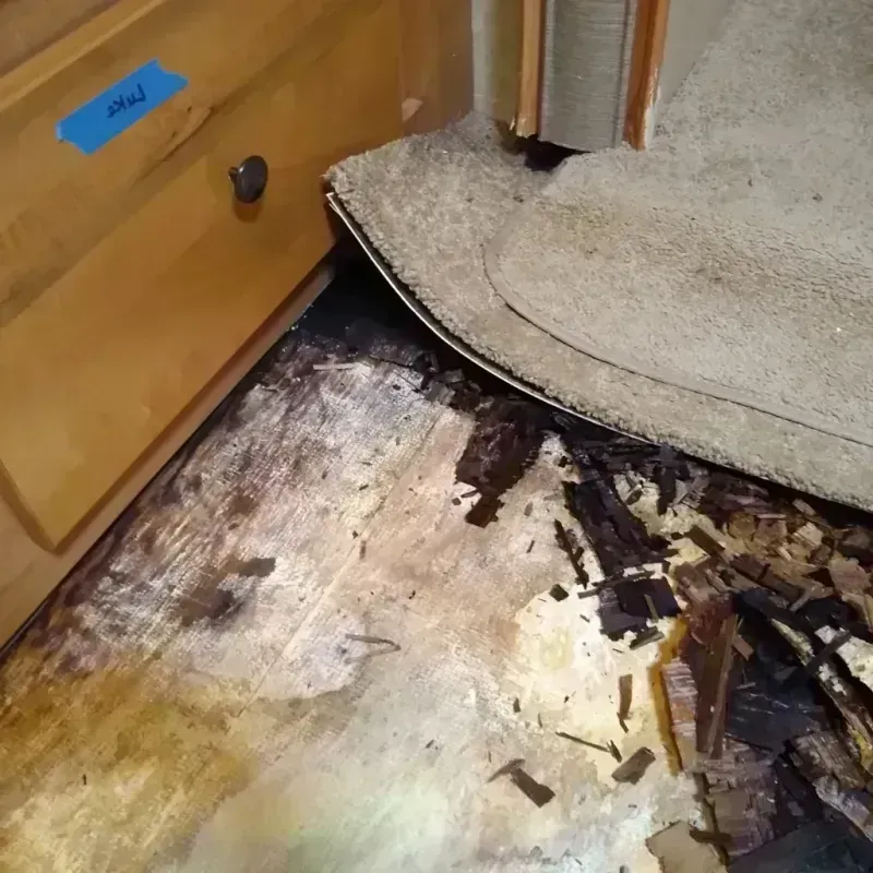 Best Wood Floor Water Damage Service in Paulding County, OH